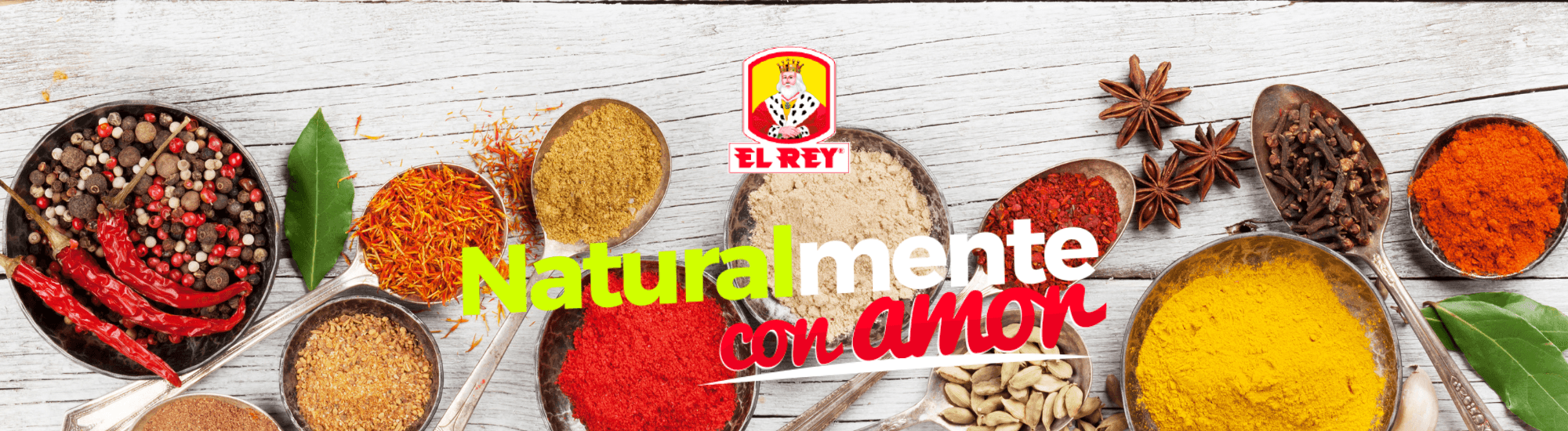 banner-el rey